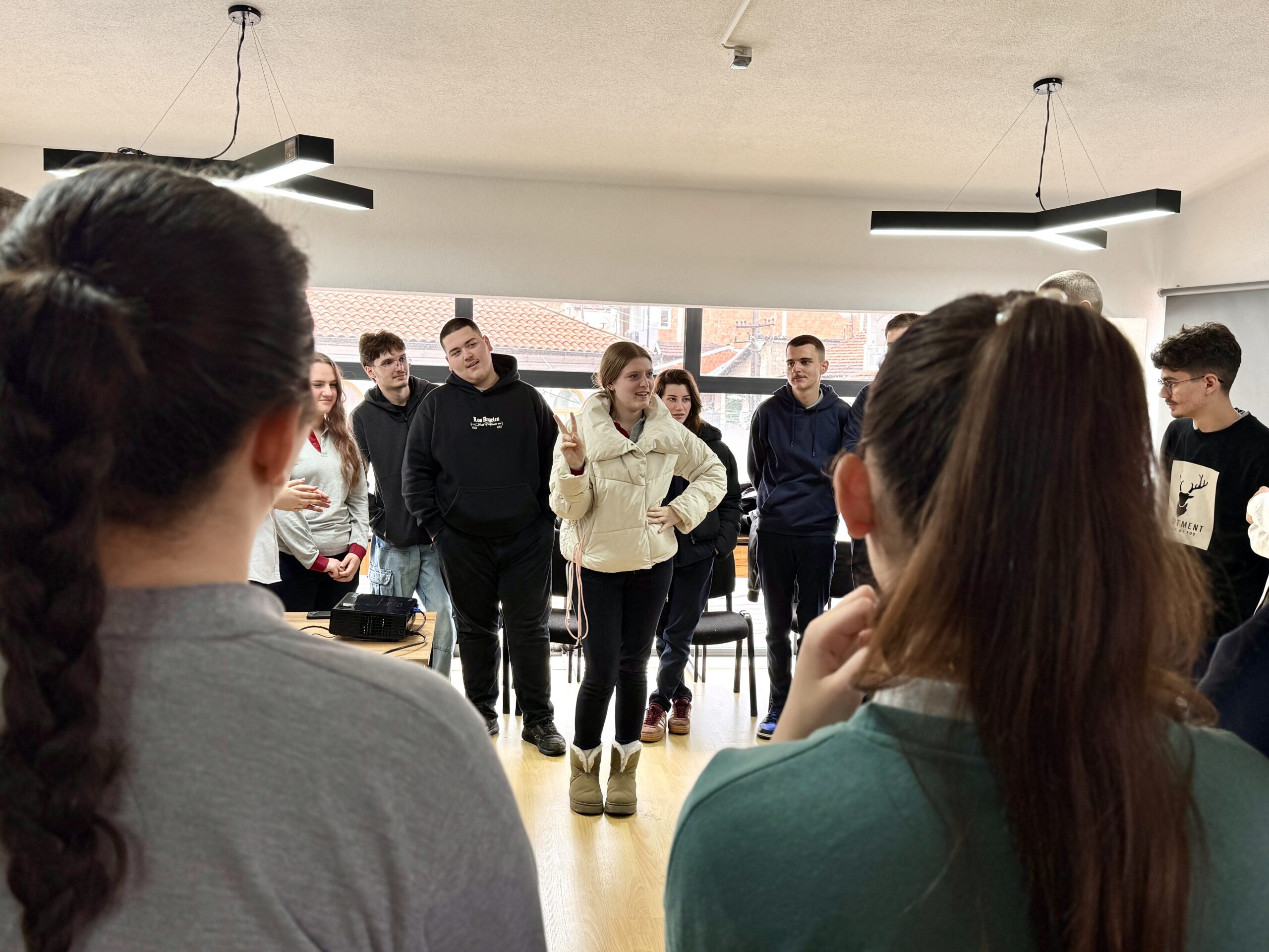 Workshop “European Youth Goals”